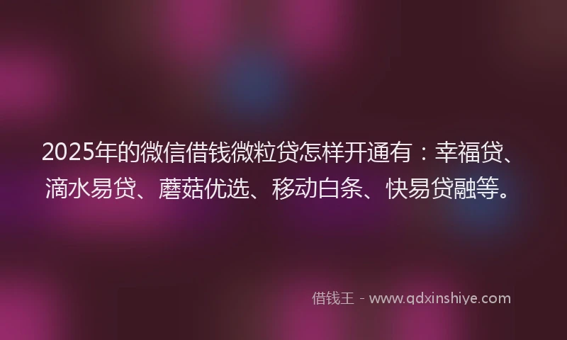 2025年的微信借钱微粒贷怎样开通有：幸福贷、滴水易贷、蘑菇优选、移动白条、快易贷融等。