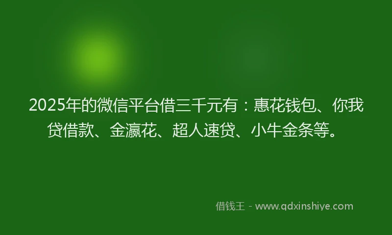 2025年的微信平台借三千元有：惠花钱包、你我贷借款、金瀛花、超人速贷、小牛金条等。