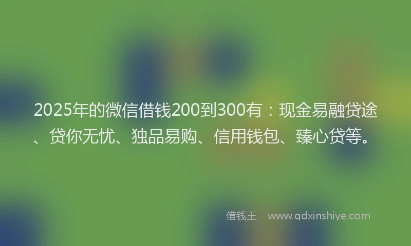 2025年的微信借钱200到300有：现金易融贷途、贷你无忧、独品易购、信用钱包、臻心贷等。
