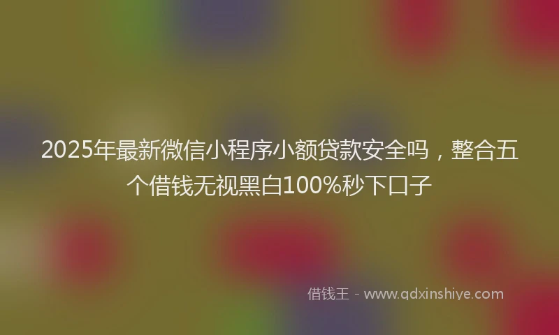 2025年最新微信小程序小额贷款安全吗，整合五个借钱无视黑白100%秒下口子