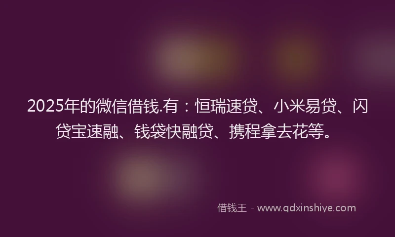 2025年的微信借钱.有：恒瑞速贷、小米易贷、闪贷宝速融、钱袋快融贷、携程拿去花等。