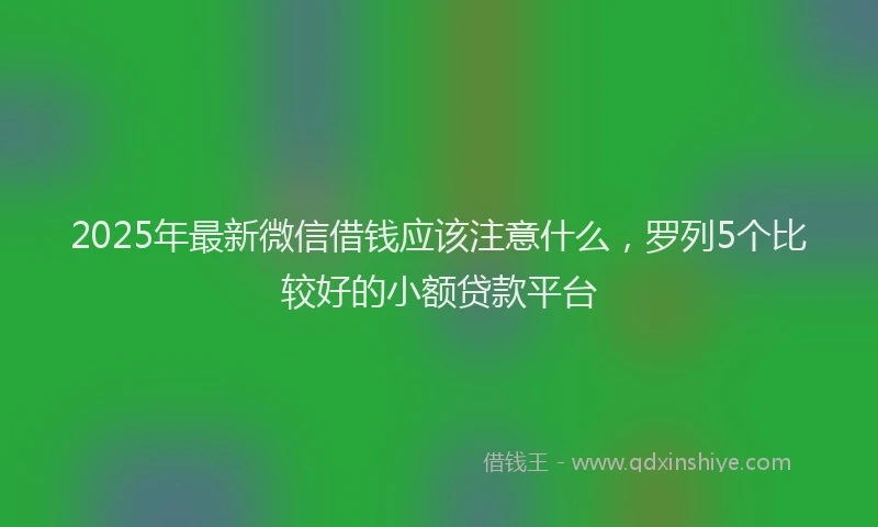 2025年最新微信借钱应该注意什么，罗列5个比较好的小额贷款平台