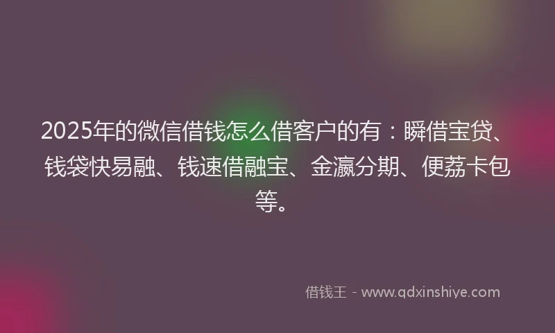 2025年的微信借钱怎么借客户的有：瞬借宝贷、钱袋快易融、钱速借融宝、金瀛分期、便荔卡包等。