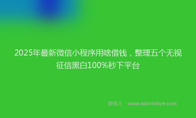 2025年最新微信小程序用啥借钱，整理五个无视征信黑白100%秒下平台