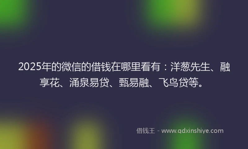 2025年的微信的借钱在哪里看有：洋葱先生、融享花、涌泉易贷、甄易融、飞鸟贷等。