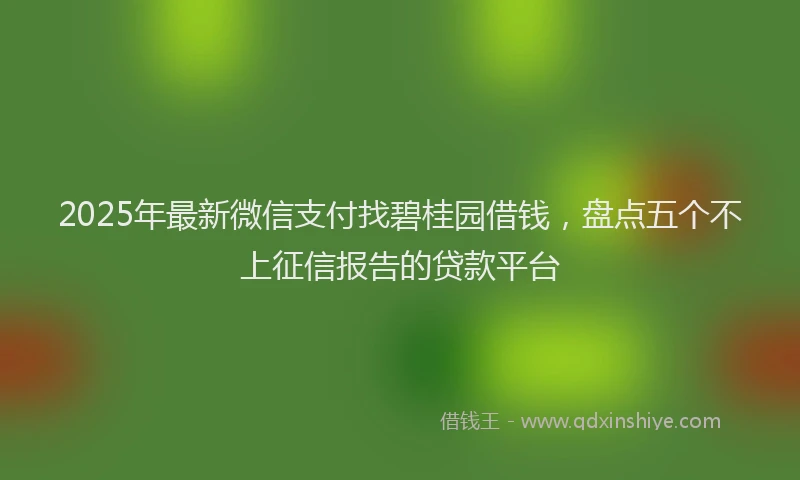 2025年最新微信支付找碧桂园借钱，盘点五个不上征信报告的贷款平台