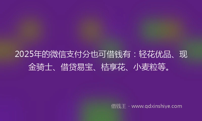 2025年的微信支付分也可借钱有：轻花优品、现金骑士、借贷易宝、桔享花、小麦粒等。