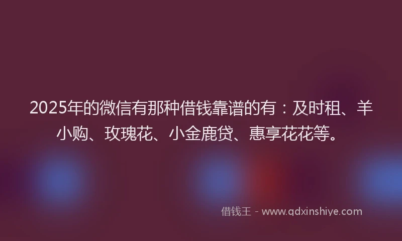 2025年的微信有那种借钱靠谱的有：及时租、羊小购、玫瑰花、小金鹿贷、惠享花花等。