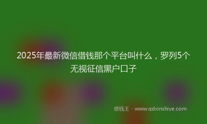 2025年最新微信借钱那个平台叫什么，罗列5个无视征信黑户口子