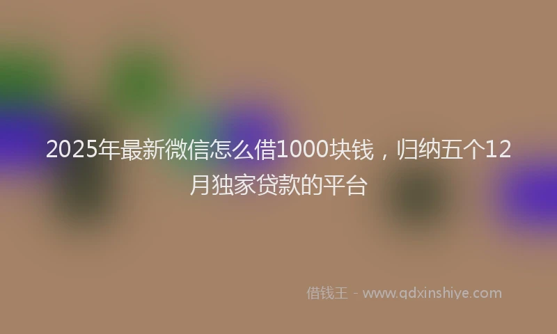 2025年最新微信怎么借1000块钱，归纳五个12月独家贷款的平台