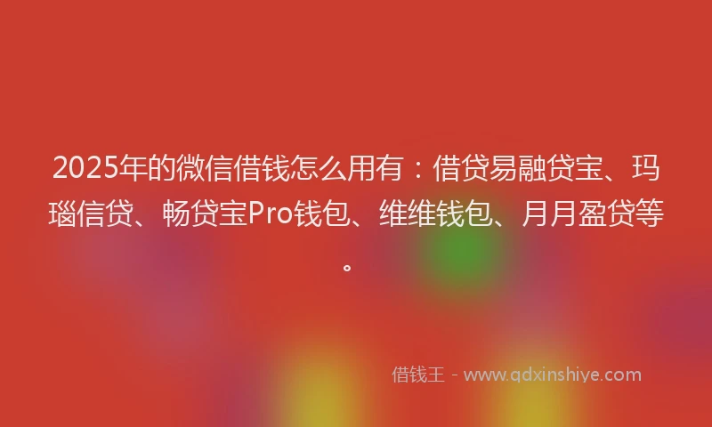 2025年的微信借钱怎么用有：借贷易融贷宝、玛瑙信贷、畅贷宝Pro钱包、维维钱包、月月盈贷等。