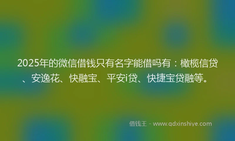2025年的微信借钱只有名字能借吗有：橄榄信贷、安逸花、快融宝、平安i贷、快捷宝贷融等。