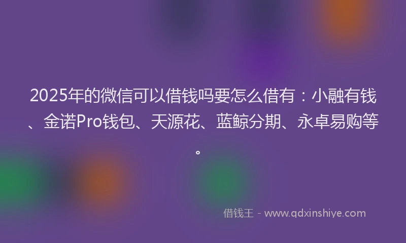 2025年的微信可以借钱吗要怎么借有：小融有钱、金诺Pro钱包、天源花、蓝鲸分期、永卓易购等。