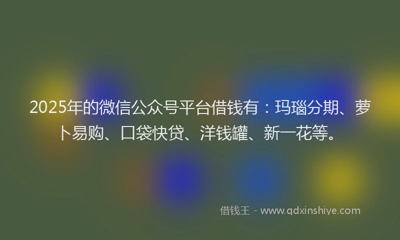 2025年的微信公众号平台借钱有：玛瑙分期、萝卜易购、口袋快贷、洋钱罐、新一花等。