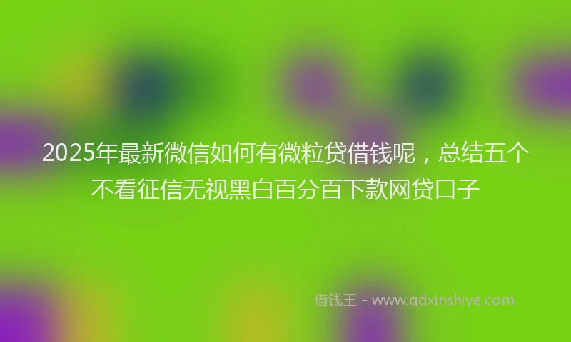 2025年最新微信如何有微粒贷借钱呢，总结五个不看征信无视黑白百分百下款网贷口子