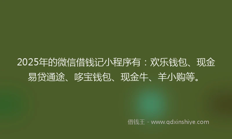 2025年的微信借钱记小程序有：欢乐钱包、现金易贷通途、哆宝钱包、现金牛、羊小购等。