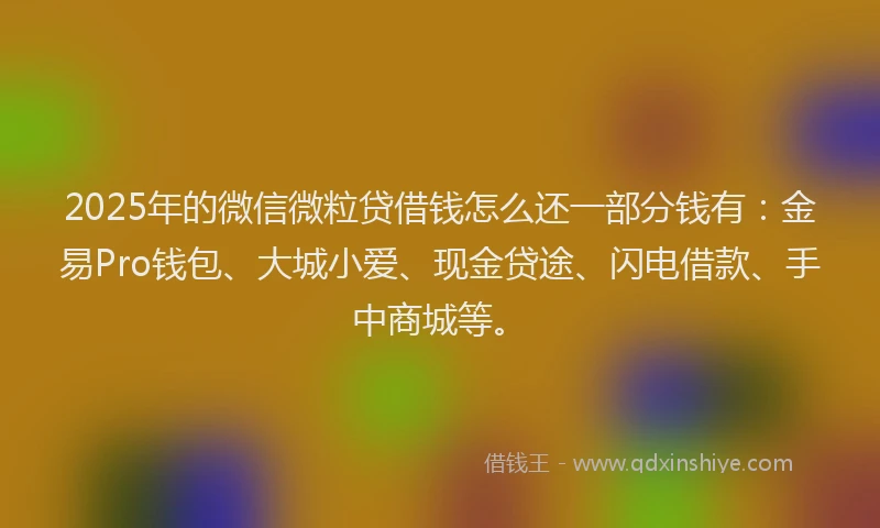 2025年的微信微粒贷借钱怎么还一部分钱有：金易Pro钱包、大城小爱、现金贷途、闪电借款、手中商城等。