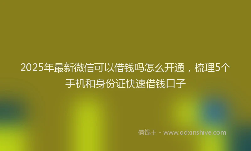 2025年最新微信可以借钱吗怎么开通，梳理5个手机和身份证快速借钱口子