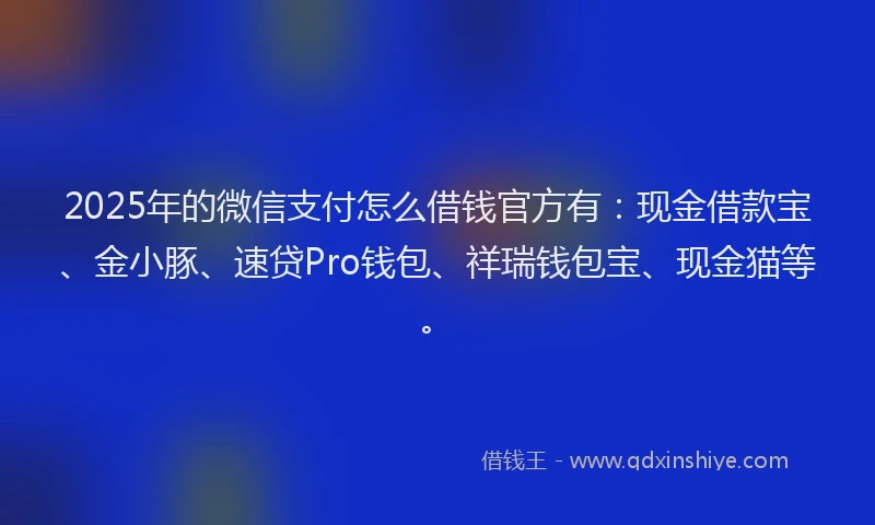 2025年的微信支付怎么借钱官方有：现金借款宝、金小豚、速贷Pro钱包、祥瑞钱包宝、现金猫等。