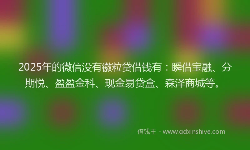 2025年的微信没有徽粒贷借钱有：瞬借宝融、分期悦、盈盈金科、现金易贷盒、森泽商城等。