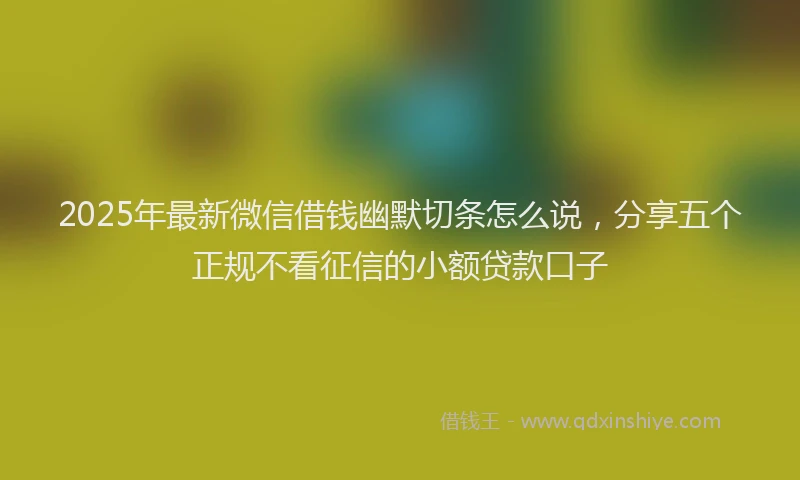 2025年最新微信借钱幽默切条怎么说，分享五个正规不看征信的小额贷款口子