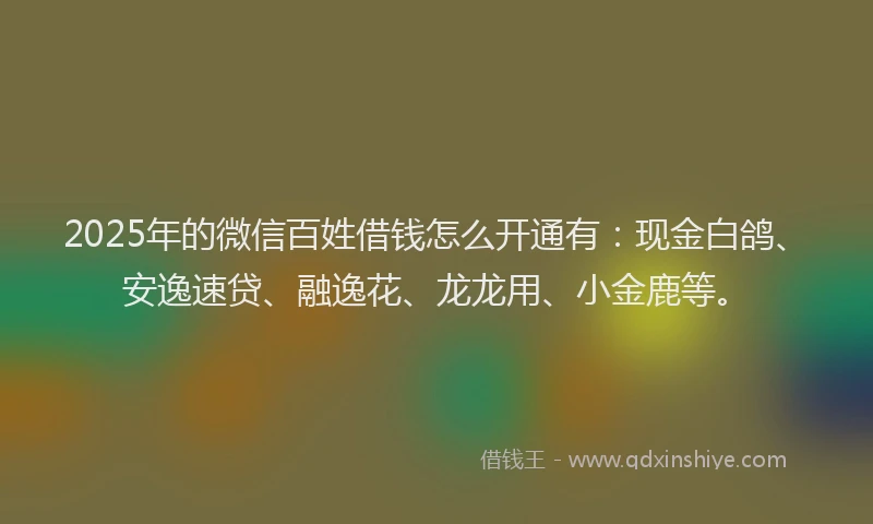 2025年的微信百姓借钱怎么开通有：现金白鸽、安逸速贷、融逸花、龙龙用、小金鹿等。