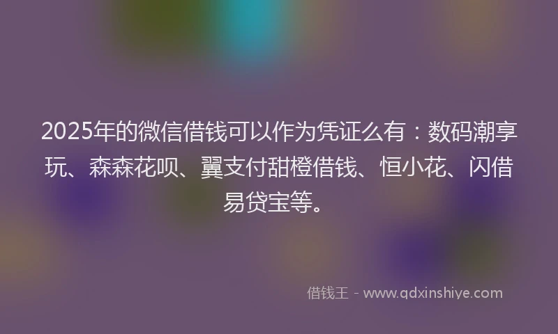 2025年的微信借钱可以作为凭证么有：数码潮享玩、森森花呗、翼支付甜橙借钱、恒小花、闪借易贷宝等。