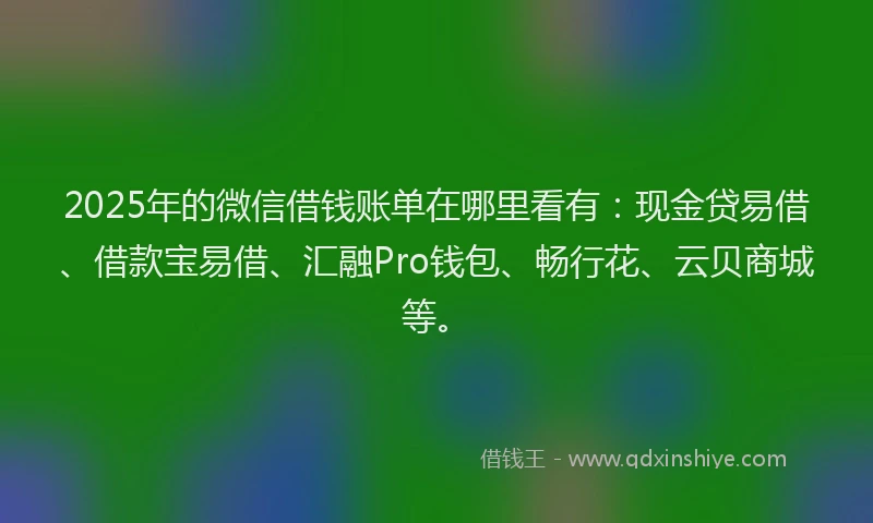 2025年的微信借钱账单在哪里看有：现金贷易借、借款宝易借、汇融Pro钱包、畅行花、云贝商城等。