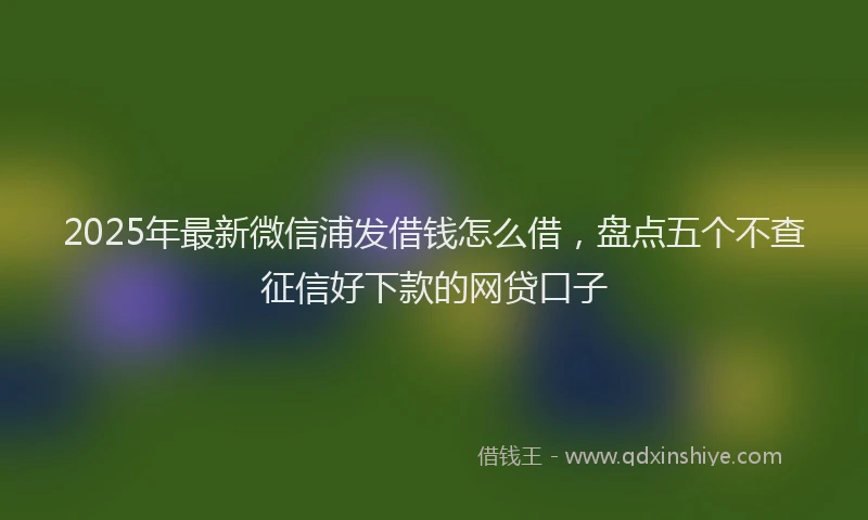 2025年最新微信浦发借钱怎么借，盘点五个不查征信好下款的网贷口子