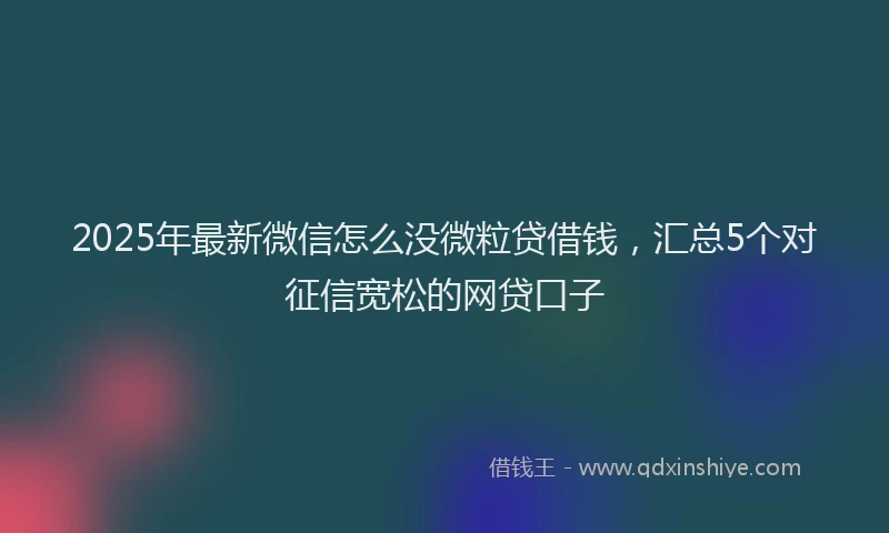 2025年最新微信怎么没微粒贷借钱，汇总5个对征信宽松的网贷口子