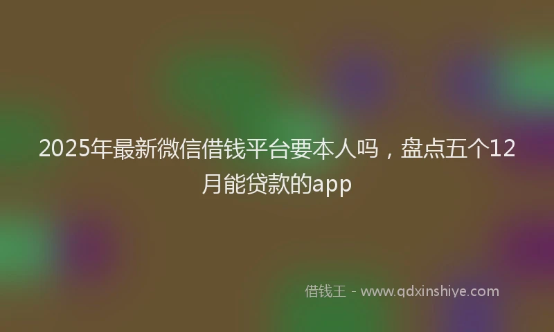 2025年最新微信借钱平台要本人吗，盘点五个12月能贷款的app