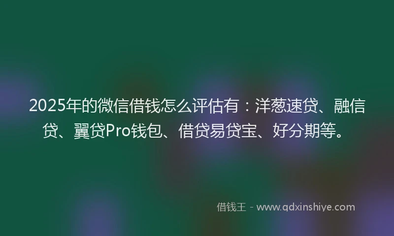 2025年的微信借钱怎么评估有：洋葱速贷、融信贷、翼贷Pro钱包、借贷易贷宝、好分期等。