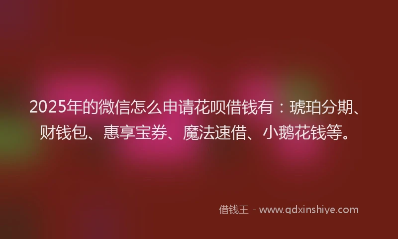 2025年的微信怎么申请花呗借钱有：琥珀分期、财钱包、惠享宝券、魔法速借、小鹅花钱等。