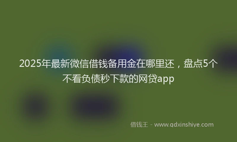 2025年最新微信借钱备用金在哪里还，盘点5个不看负债秒下款的网贷app