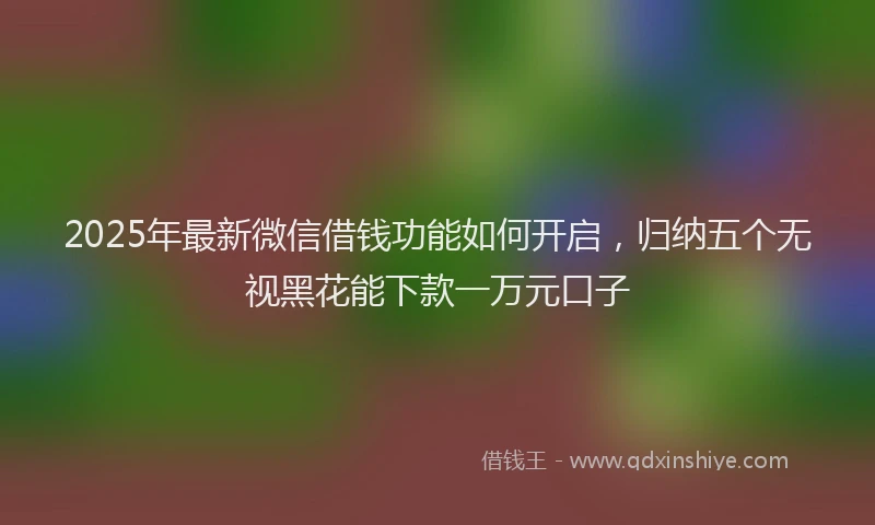2025年最新微信借钱功能如何开启，归纳五个无视黑花能下款一万元口子