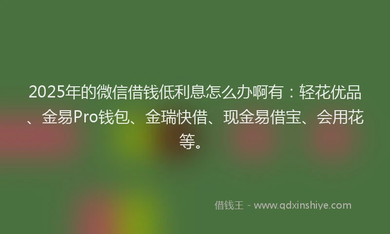 2025年的微信借钱低利息怎么办啊有：轻花优品、金易Pro钱包、金瑞快借、现金易借宝、会用花等。