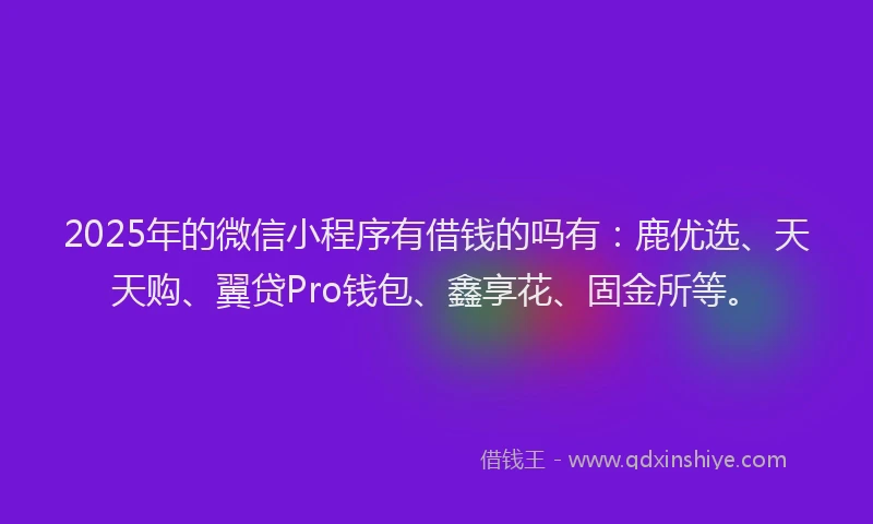 2025年的微信小程序有借钱的吗有：鹿优选、天天购、翼贷Pro钱包、鑫享花、固金所等。