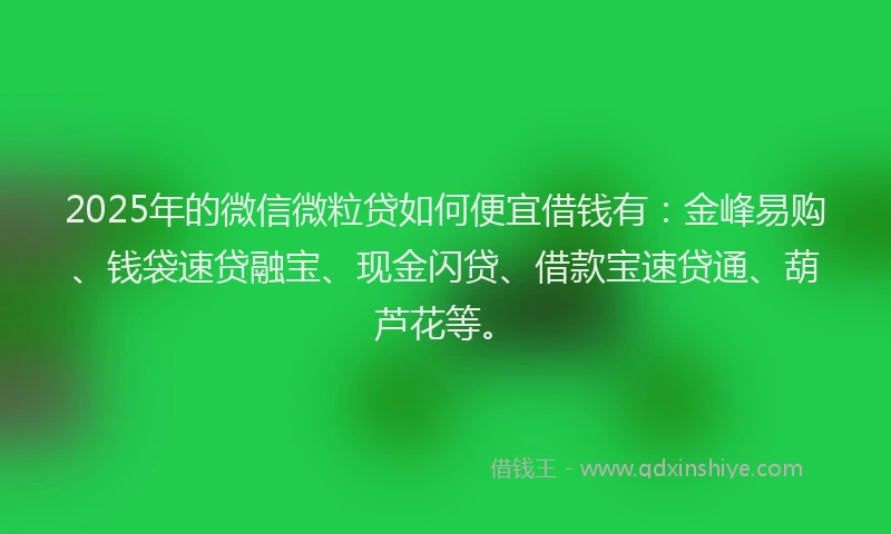 2025年的微信微粒贷如何便宜借钱有：金峰易购、钱袋速贷融宝、现金闪贷、借款宝速贷通、葫芦花等。