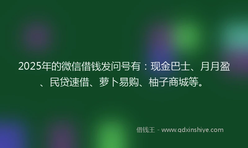 2025年的微信借钱发问号有：现金巴士、月月盈、民贷速借、萝卜易购、柚子商城等。