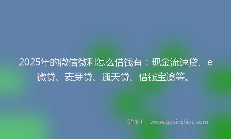 2025年的微信微利怎么借钱有：现金流速贷、e微贷、麦芽贷、通天贷、借钱宝途等。
