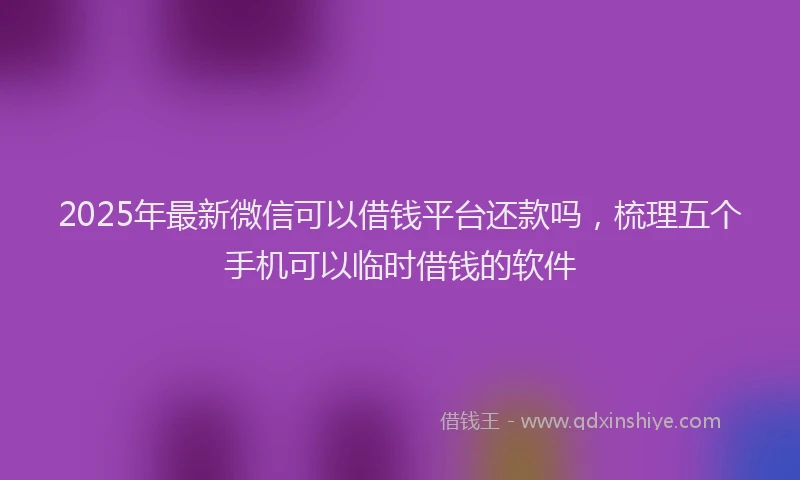 2025年最新微信可以借钱平台还款吗，梳理五个手机可以临时借钱的软件