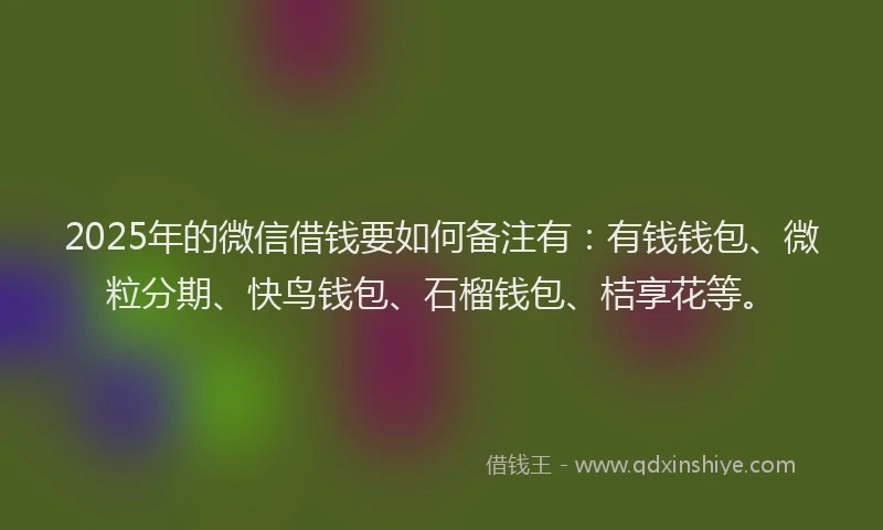 2025年的微信借钱要如何备注有：有钱钱包、微粒分期、快鸟钱包、石榴钱包、桔享花等。