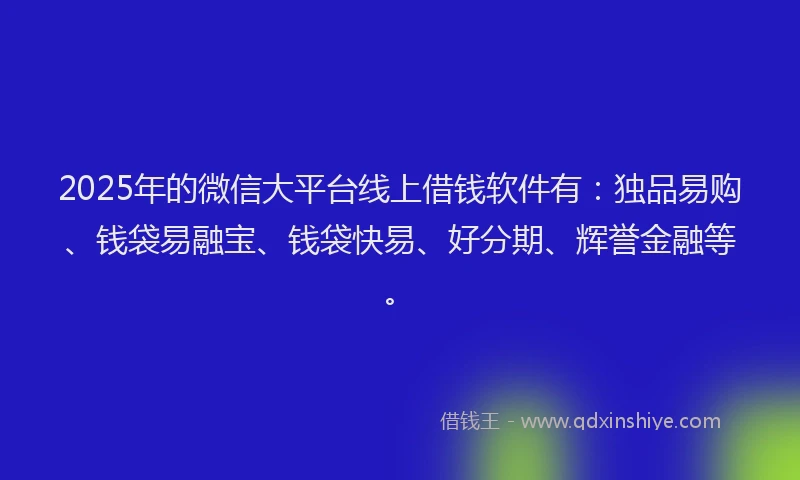 2025年的微信大平台线上借钱软件有：独品易购、钱袋易融宝、钱袋快易、好分期、辉誉金融等。
