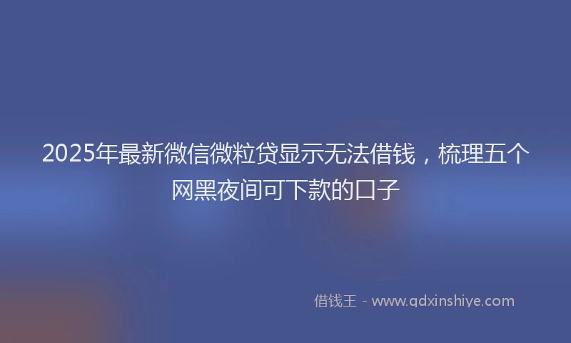 2025年最新微信微粒贷显示无法借钱，梳理五个网黑夜间可下款的口子