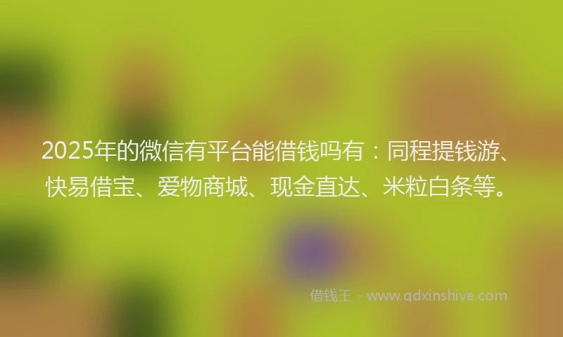2025年的微信有平台能借钱吗有：同程提钱游、快易借宝、爱物商城、现金直达、米粒白条等。