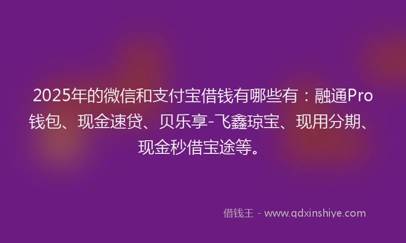2025年的微信和支付宝借钱有哪些有：融通Pro钱包、现金速贷、贝乐享-飞鑫琼宝、现用分期、现金秒借宝途等。