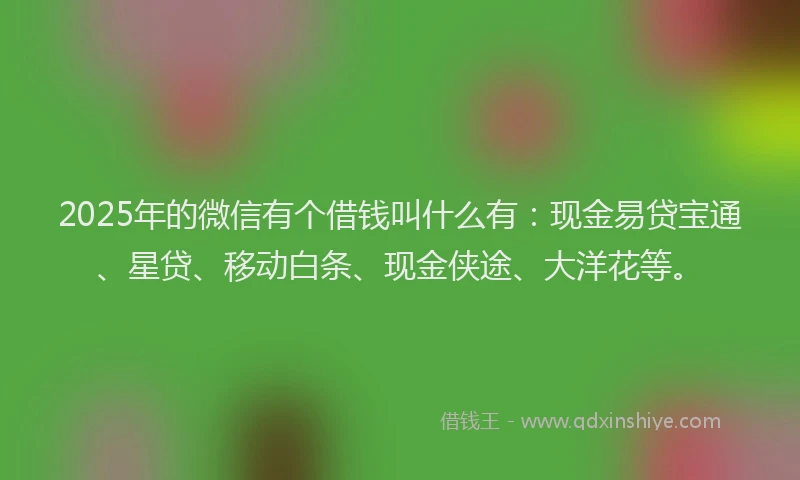 2025年的微信有个借钱叫什么有：现金易贷宝通、星贷、移动白条、现金侠途、大洋花等。