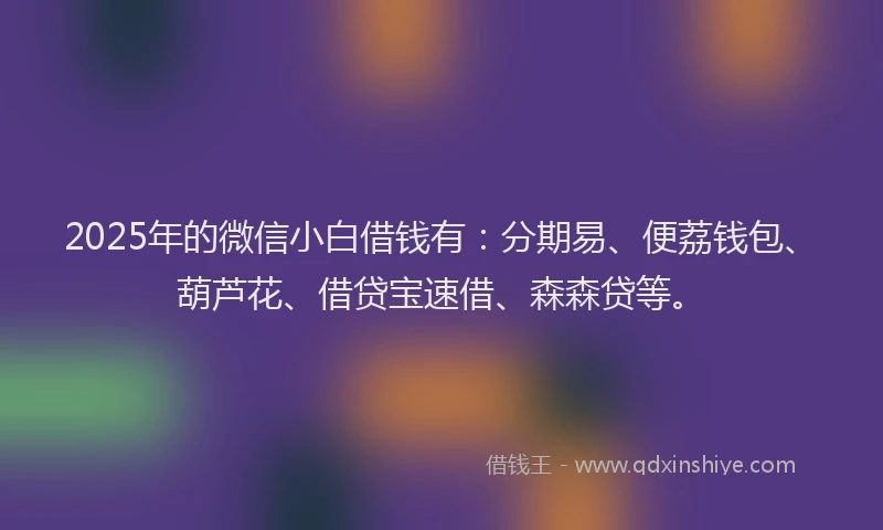 2025年的微信小白借钱有：分期易、便荔钱包、葫芦花、借贷宝速借、森森贷等。