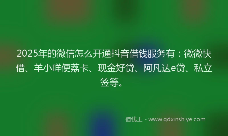 2025年的微信怎么开通抖音借钱服务有：微微快借、羊小咩便荔卡、现金好贷、阿凡达e贷、私立签等。