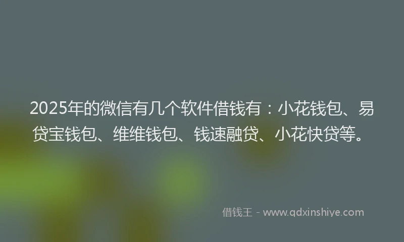 2025年的微信有几个软件借钱有：小花钱包、易贷宝钱包、维维钱包、钱速融贷、小花快贷等。